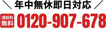 0120-907-678